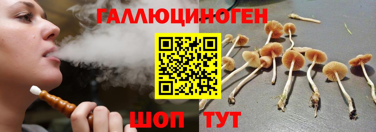 Псилоцибиновые грибы ЛСД  Вход с VPN  Псилоцибиновые грибы MAGIC MUSHROOMS  Ярославль 